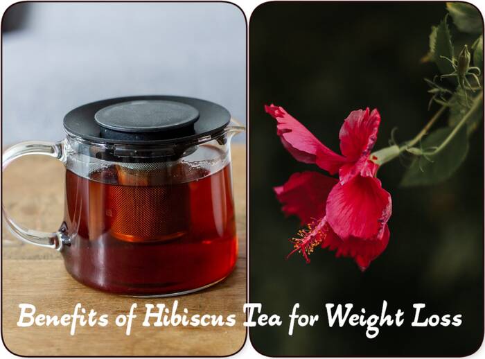 Benefits of hibiscus tea for weight loss