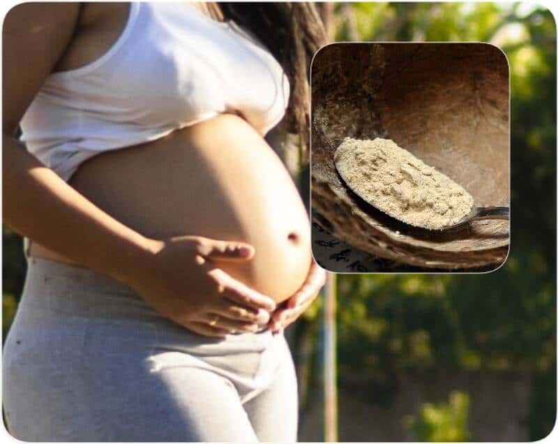 how long after taking maca did you get pregnant