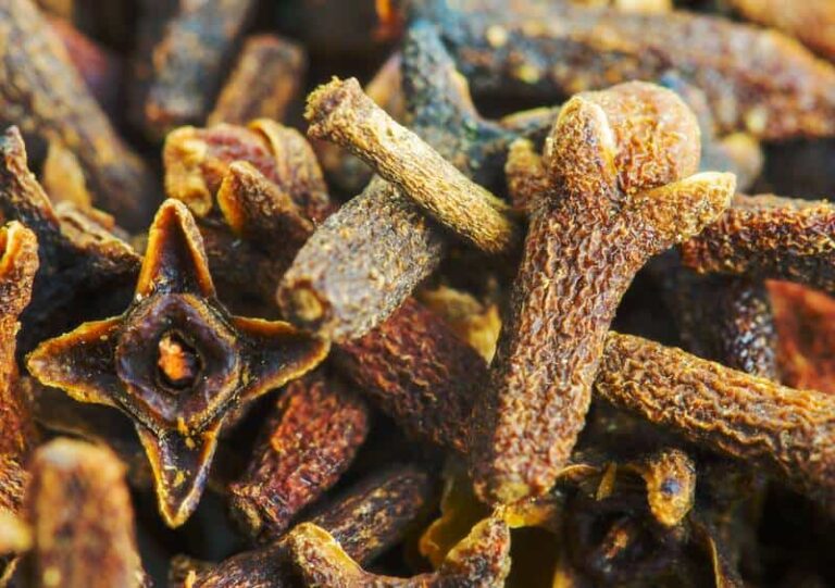 15 Potential Benefits of Cloves for Vaginal Health